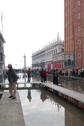 Venice Web 24