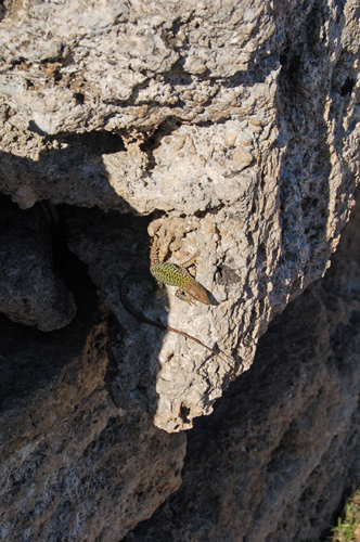 Paestum Amalfi Web 05